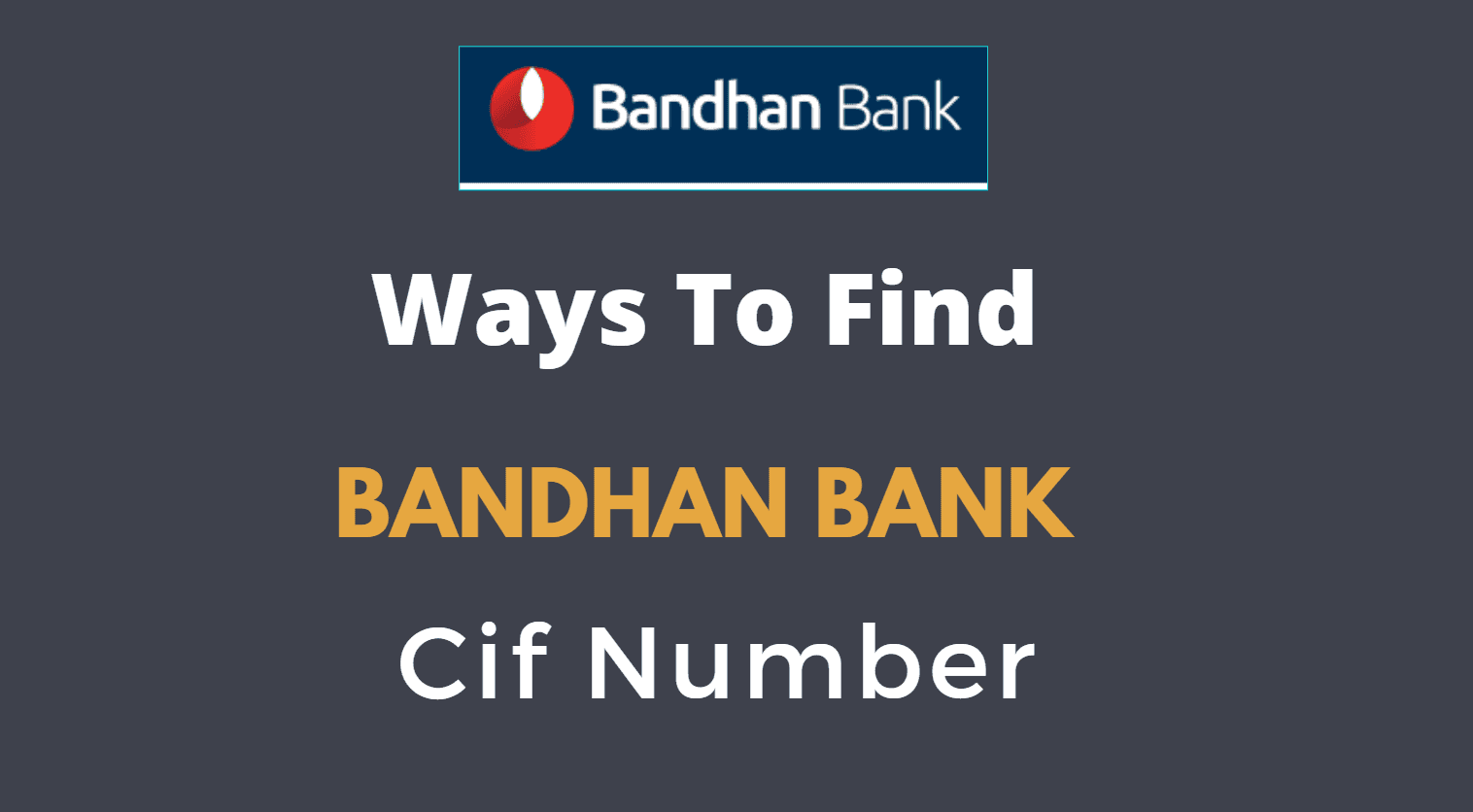 find bandhan bank cif number