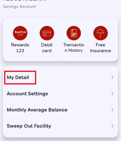 my details airtel payment bank
